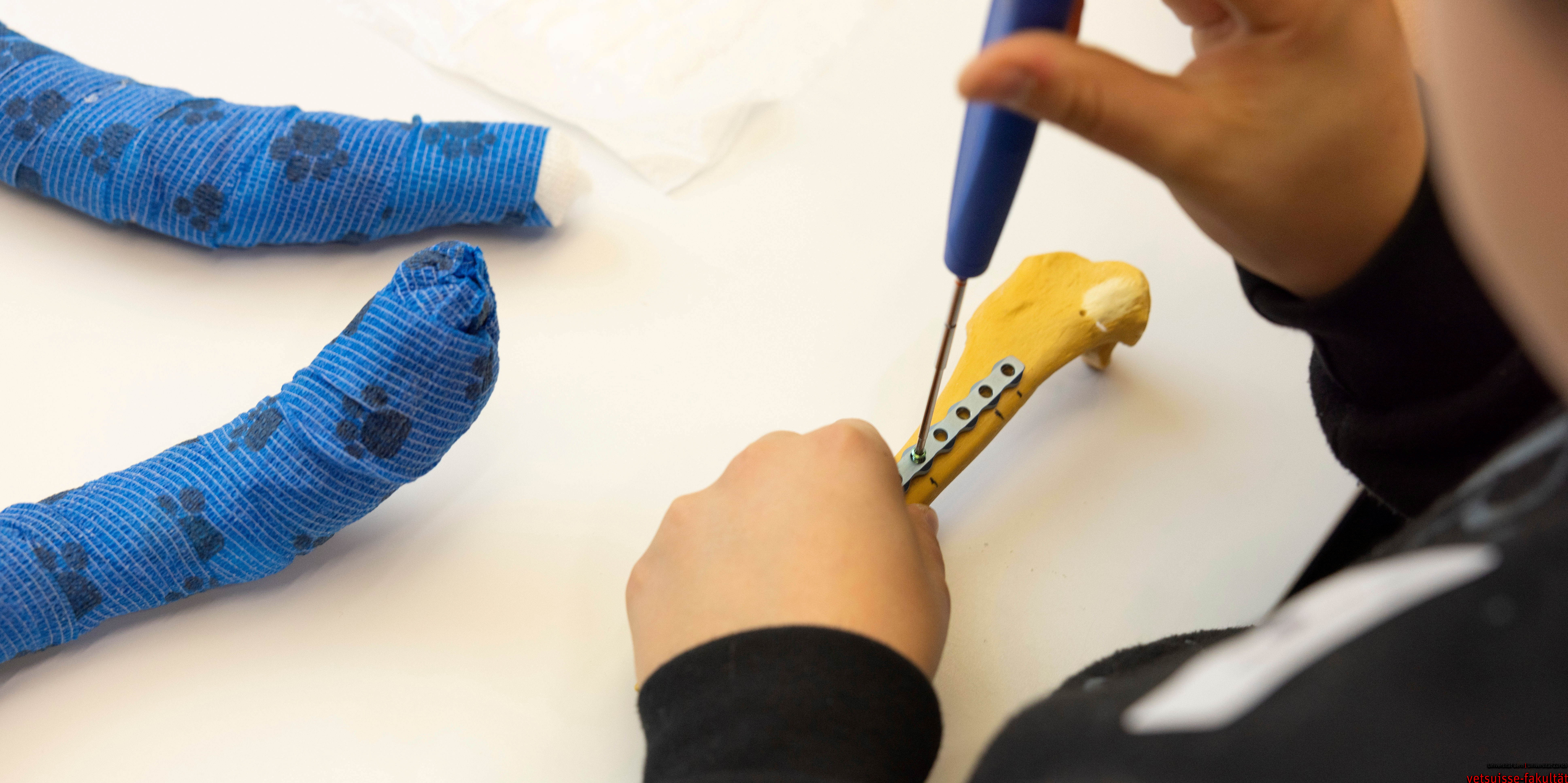 ein Kind schraubt eine Metallplatte auf einen Plastikknochen. Neben ihm liegen blau einbandagierte Beine eines Stofftieres
