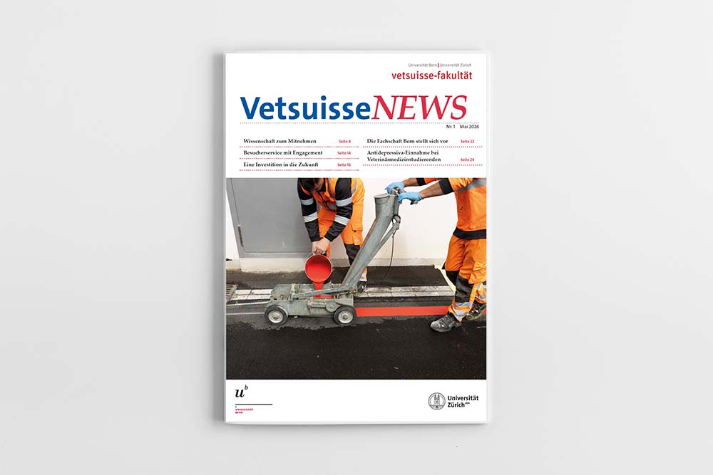 Vetsuisse News