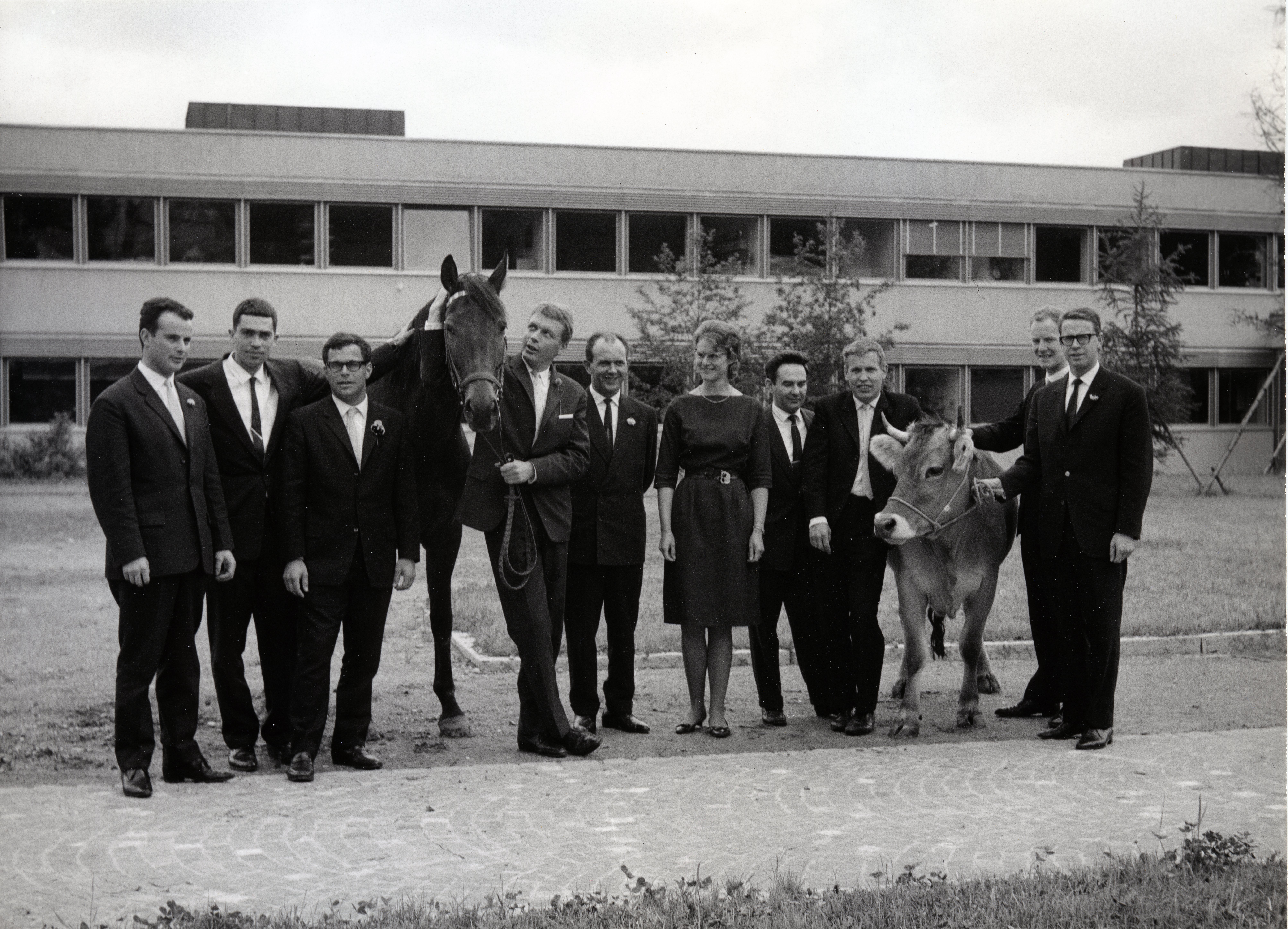 1965