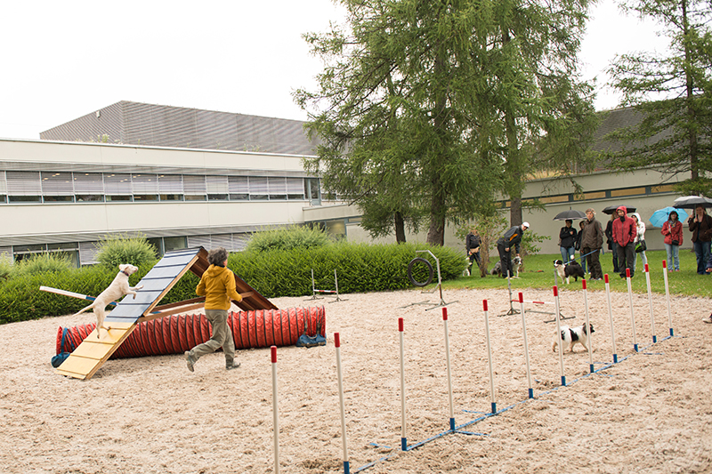 Events_2