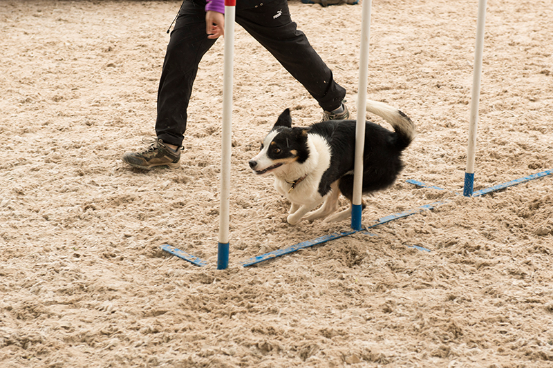 Events_3